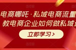 大圣电商哪吒·私域电商流量密码课，教电商企业如何做私域运营