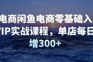 圣域电商闲鱼电商零基础入门到进阶VIP实战课程，单店每日净利增300+