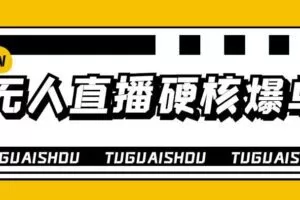 大飞无人直播硬核爆单技术，轻松玩转无人直播，暴利躺赚