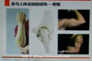 李’哲’讲《脊椎解剖》脊椎骨功能视频13集