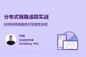 分布式链路追踪实战，20讲玩转微服务可观测性系统