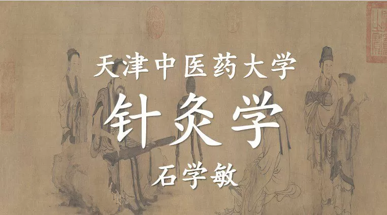 石学敏-针灸学 天津中医药大学 123讲 1 1650321819 石学敏 针灸学 天津中医药大学 123讲