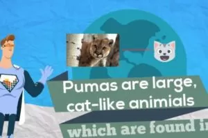 新概念英语3趣味精讲动漫版（逗你学）