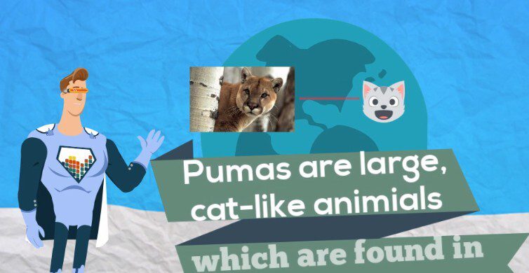 1650729883 新概念英语3趣味精讲动漫版（逗你学）