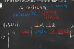 澜书院-万猛 高考生物2022年寒假班 