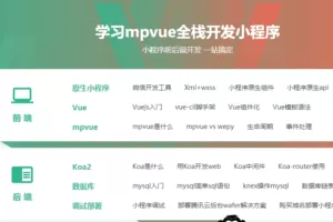 全网首发mpvue课程小程序全栈开发
