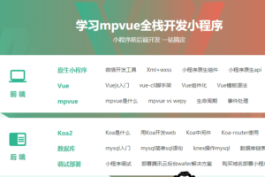 全网首发mpvue课程小程序全栈开发