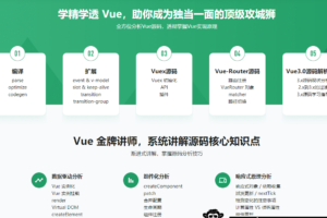 Vue.js 源码全方位深入解析