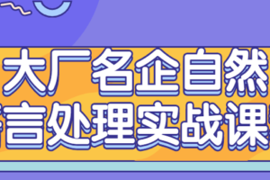 大厂名企自然语言处理实战课程