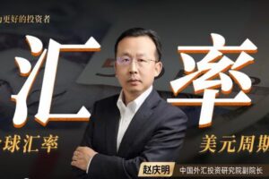 解码全球汇率·赵庆明 一门课读懂全球汇率背后的逻辑