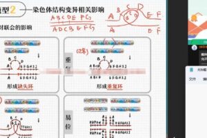 邓康尧 2023届高考生物2022年暑假A+班