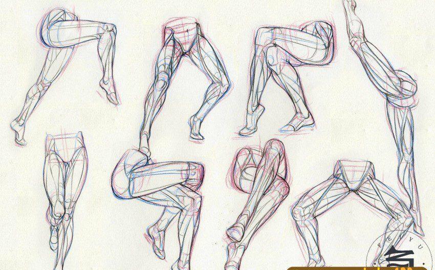 【画画的春哥】人体完整分析(2019)✔ 【画画的春哥】人体完整分析(2019)✔