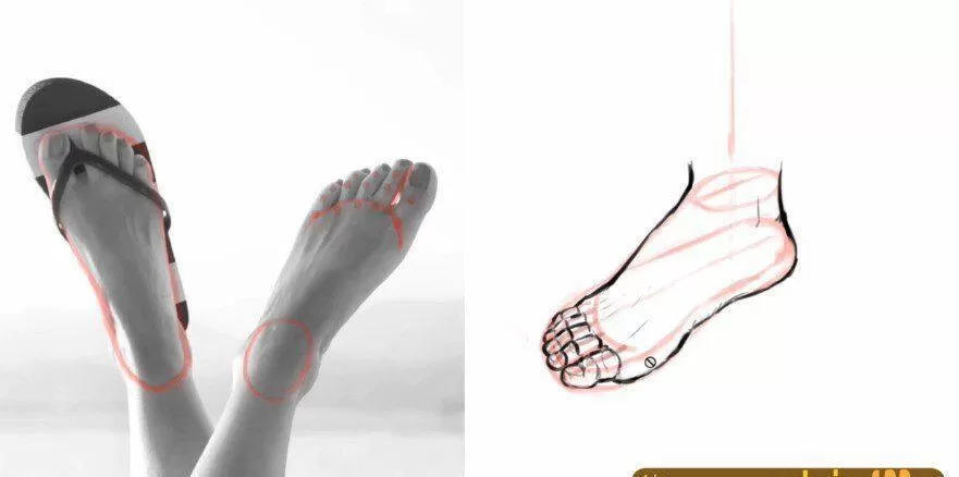 释开达 基础人体结构 绘画教程 2019 释开达 基础人体结构 绘画教程 2019