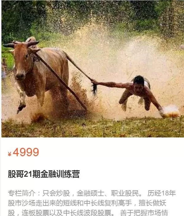 股哥训练营 只会炒股第21期 2022 1 股哥训练营 只会炒股第21期 2022