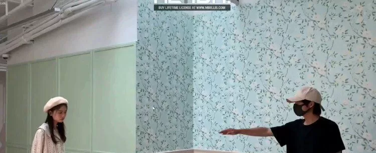 猫的树2019摄影课程