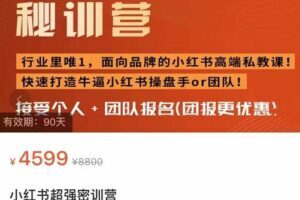 小红书超强密训营，爆文制造技巧，低预算高roi投放技巧，内容营销思维