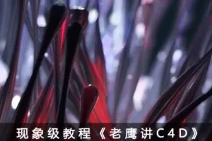 老鹰讲C4D从0开始系统学C4D教程 C4D入门到进阶老鹰C4D中文教程