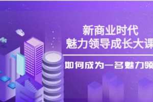 张琦《新商业魅力领导成长大课》29节视频课