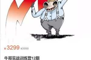 牛哥实战训练营第12期