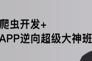 路飞-爬虫开发+APP逆向超级大神班1-3班价值4999元2022年