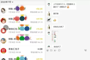 黄岛主小红书虚拟项目1.0，账号注册 养号 视频制作 引流 变现，几天就赚两三千