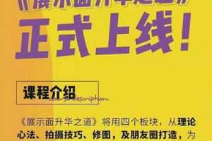 浪迹情感《展示面升华之道》（编号0503334）