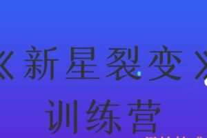 《新星裂变》训练营_倪昊（编号0503282）