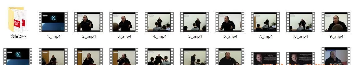 大卫X规则解释【一致性】内容介绍