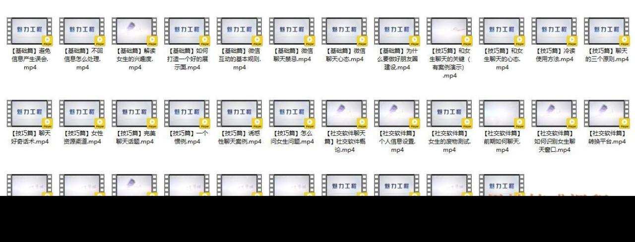 男性情感课程《聊天宝典》