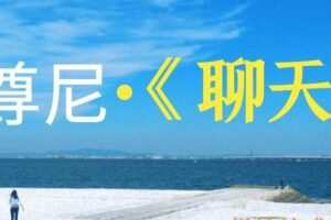 尊尼《聊天》