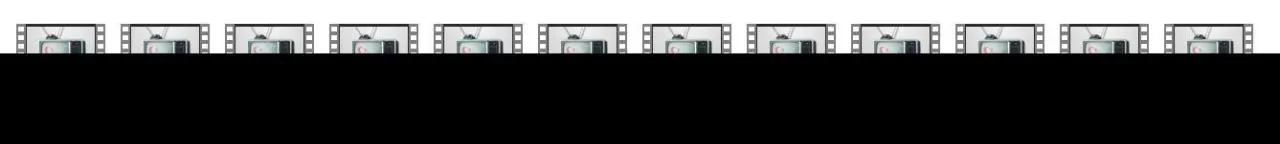 泡学课程《明月私教课程视频版》