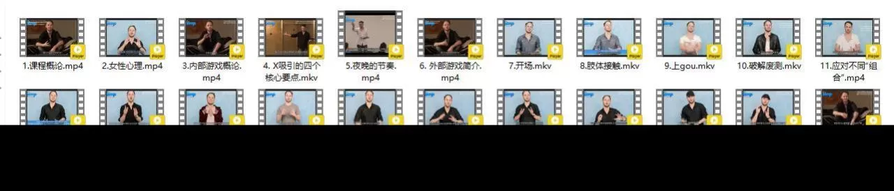 PIMP by RSD Julien(中文翻译)