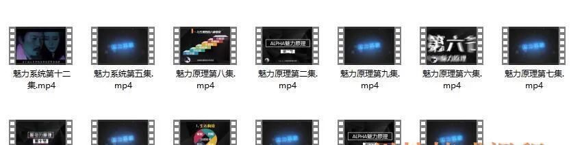 柯Chris《魅力系统私教》课程介绍1