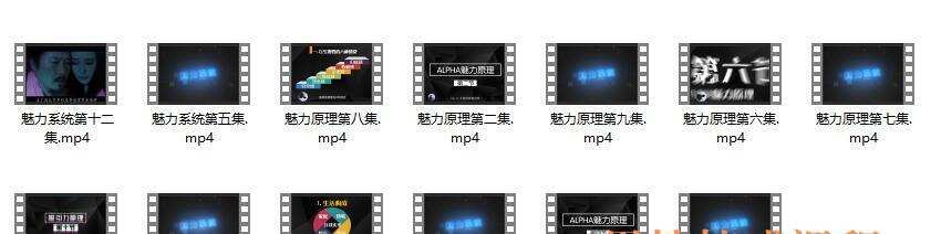 柯Chris《魅力系统私教》课程介绍1