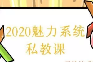 柯Chris《魅力系统私教》（编号0503255）