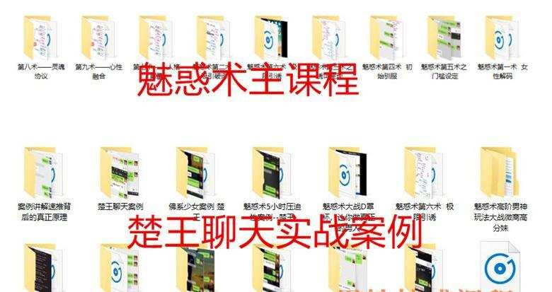 泡妞教程《楚王魅惑术》