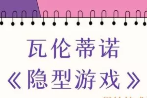 瓦伦蒂诺 隐型游戏（编号0503315）