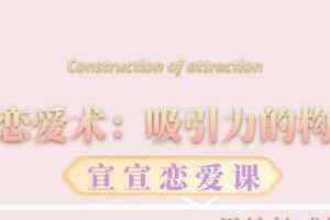 宣宣《恋爱术：吸引力的构建》