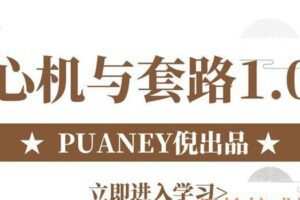 PUANEY倪《心机与套路1.0》