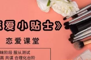 PUA课程-恋爱小贴士（2017）