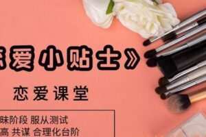 PUA课程-恋爱小贴士（2017）