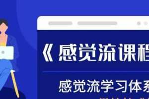 经典把妹方法《感觉流课程》