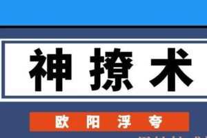 欧阳浮夸《神撩术》电子书