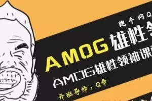 Q帝-AMOG雄性领袖课程