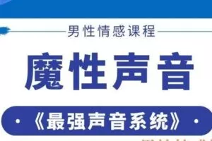 魔性声音《最强声音系统》
