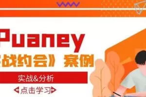 PUANEY《2017年实战约会案例》