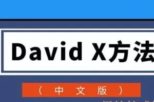 David X方法（中文版）