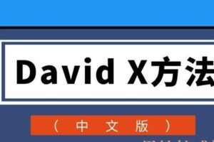 David X方法（中文版）