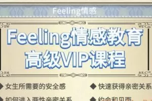 Feeling情感高级VIP课程