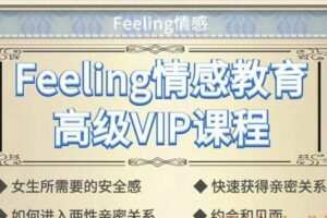 Feeling情感高级VIP课程
